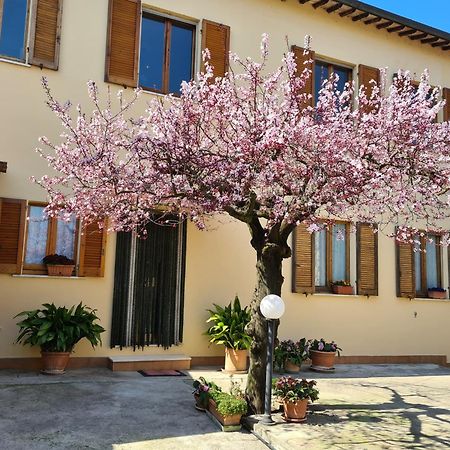 B&B Barbara Assisi Cannara Extérieur photo
