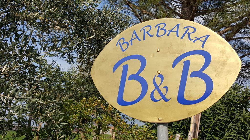 B&B Barbara Assisi Cannara Extérieur photo