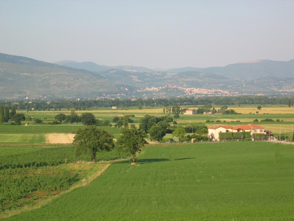 B&B Barbara Assisi Cannara Extérieur photo